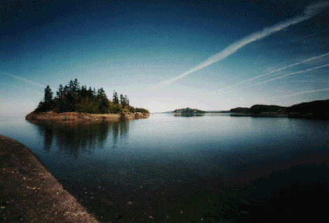Sheldon Brown photo