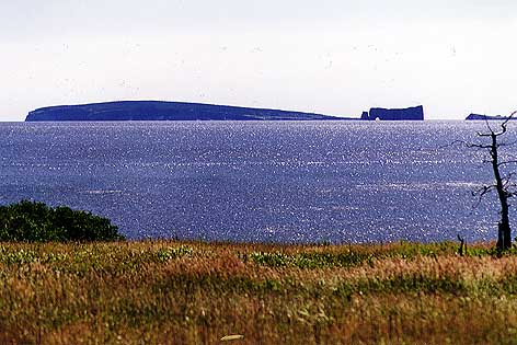 The Rock of Perc&eacute;