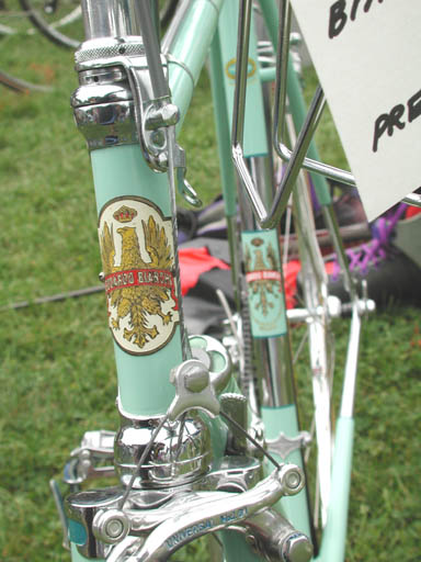 bianchihead2