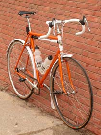 Rambouillet Front Quarter